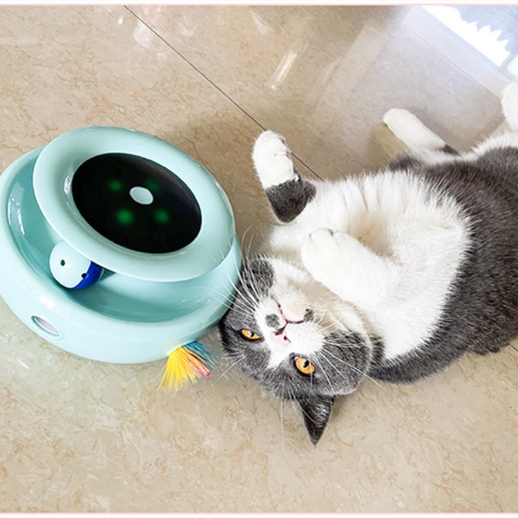 Smart Pet Toy